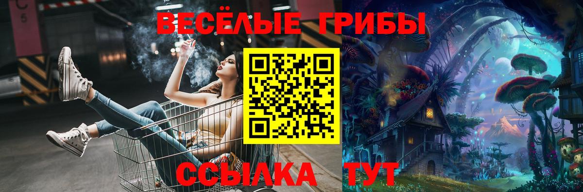 Псилоцибиновые грибы Psilocybine cubensis Саранск