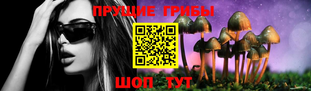 Галлюциногенные грибы Cubensis  Вход с VPN  Саранск 